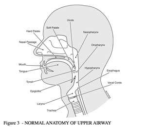 fig3_sm