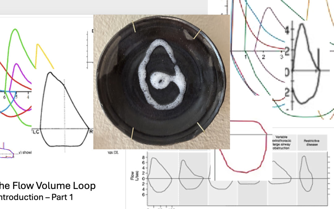 THE FLOW VOLUME LOOP