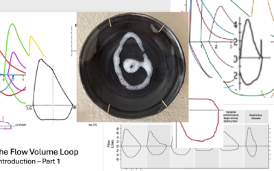 THE FLOW VOLUME LOOP