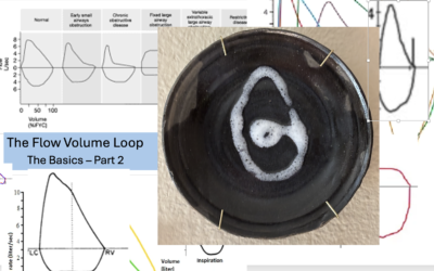 The Flow Volume Loop (Part 2) The Basics